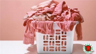 干洗店一年能掙多少錢?低至十幾萬(wàn)