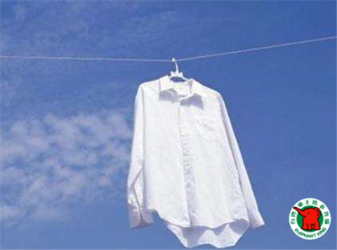 開個干洗店要多少錢?象王低價幫你開店