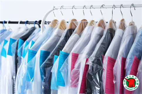 洗衣店的利潤怎么樣?加盟象王利潤更高!