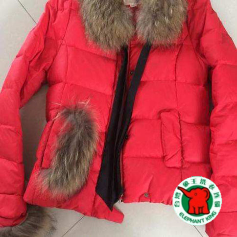 干洗店的必須設備，參照象王品牌