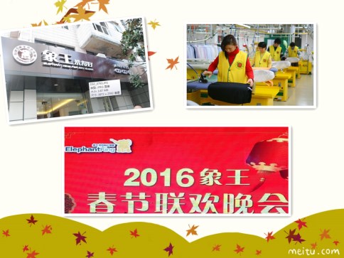 洗衣加盟連鎖選象王的優勢在哪