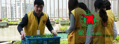 干洗店加盟圖片