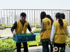 高中學校旁的干洗店投資